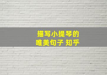 描写小提琴的唯美句子 知乎